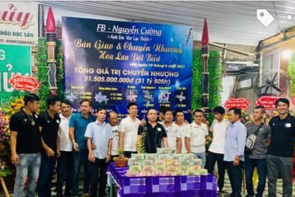 Vụ chuyển nhượng lan 31,5 tỷ đồng chỉ là màn kịch câu like! - 1 Vụ chuyển nhượng lan 31,5 tỷ đồng chỉ là màn kịch câu like! - 1
