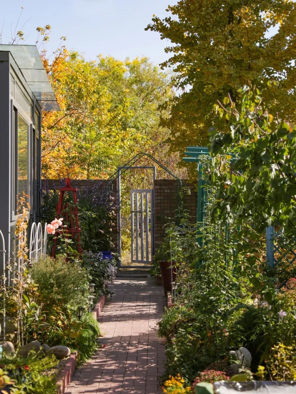 Người chồng tặng vợ nhà vườn 1.000 m2 tuyệt đẹp nhân dịp sinh nhật - 1 Người chồng tặng vợ nhà vườn 1.000 m2 tuyệt đẹp nhân dịp sinh nhật - 1