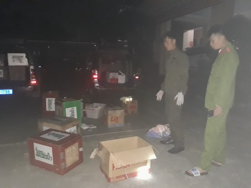 Giải cứu hàng chục con rái cá cực kỳ quý hiếm bị buôn lậu ở Nghệ An - 1 Giải cứu hàng chục con rái cá cực kỳ quý hiếm bị buôn lậu ở Nghệ An - 1