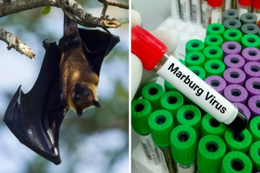 Thanh Hóa tăng cường phòng bệnh truyền nhiễm cấp tính đặc biệt nguy hiểm