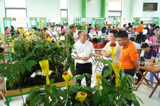 Phiên chợ sâm Ngọc Linh và hàng nông sản, dược liệu Nam Trà My