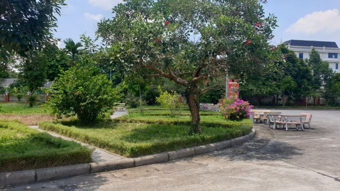 Khuôn viên Trung tâm luôn rợp bóng cây xanh