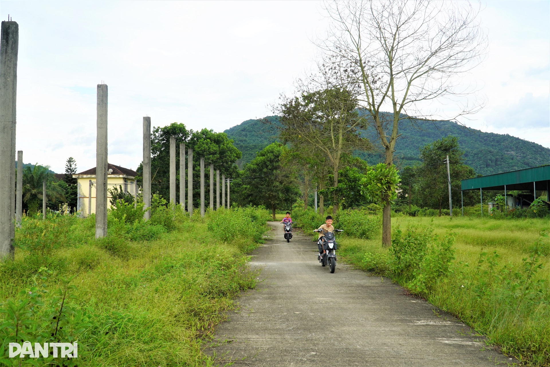 Doanh nghiệp cuối cùng tạm dừng hoạt động, KCN ở Hà Tĩnh lâm cảnh đìu hiu - 6 Doanh nghiệp cuối cùng tạm dừng hoạt động, KCN ở Hà Tĩnh lâm cảnh đìu hiu - 6