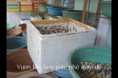 PV trao đổi với ông Nguyễn Văn Hưng