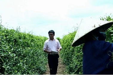 Hướng đi nào cho chuẩn hóa nguồn nguyên liệu dược phẩm Việt Nam?