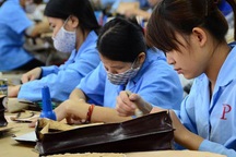 Sửa Luật Lao động: 2 phương án về điều chỉnh giờ làm thêm và tuổi hưu