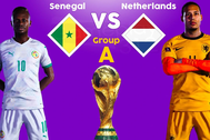 Hà Lan vs Senegal (23h00 ngày 21/11): "Cơn lốc" của Van Gaal