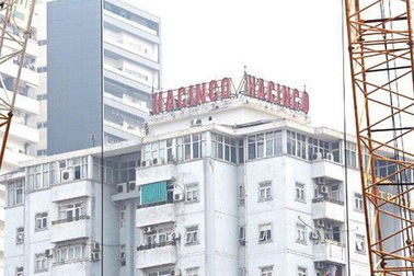 Công an TP Hà Nội nói gì về sai phạm của nguyên giám đốc Công ty Hacinco?