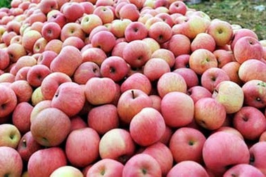 Tiết lộ động trời của người bán hoa quả chợ Long Biên