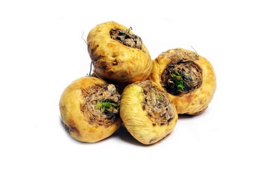 “Thảo dược” Maca – hỗ trợ tăng cường chất lượng tinh trùng