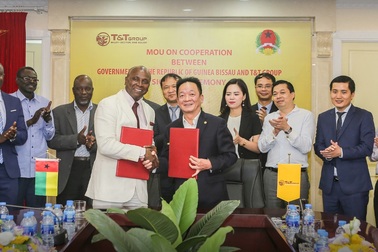 Tập đoàn T&T thu mua 100% sản lượng hạt điều của một nước