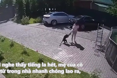 Mẹ giải cứu con gái 2 tuổi bị khỉ lao vào tấn công dữ dội
