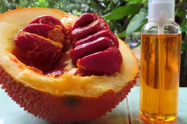 3 bước nấu dầu gấc tại nhà tiết kiệm và chất lượng