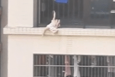 Clip chàng trai cứu em bé mắc kẹt cheo leo ở tầng 7 khiến dân mạng cảm phục