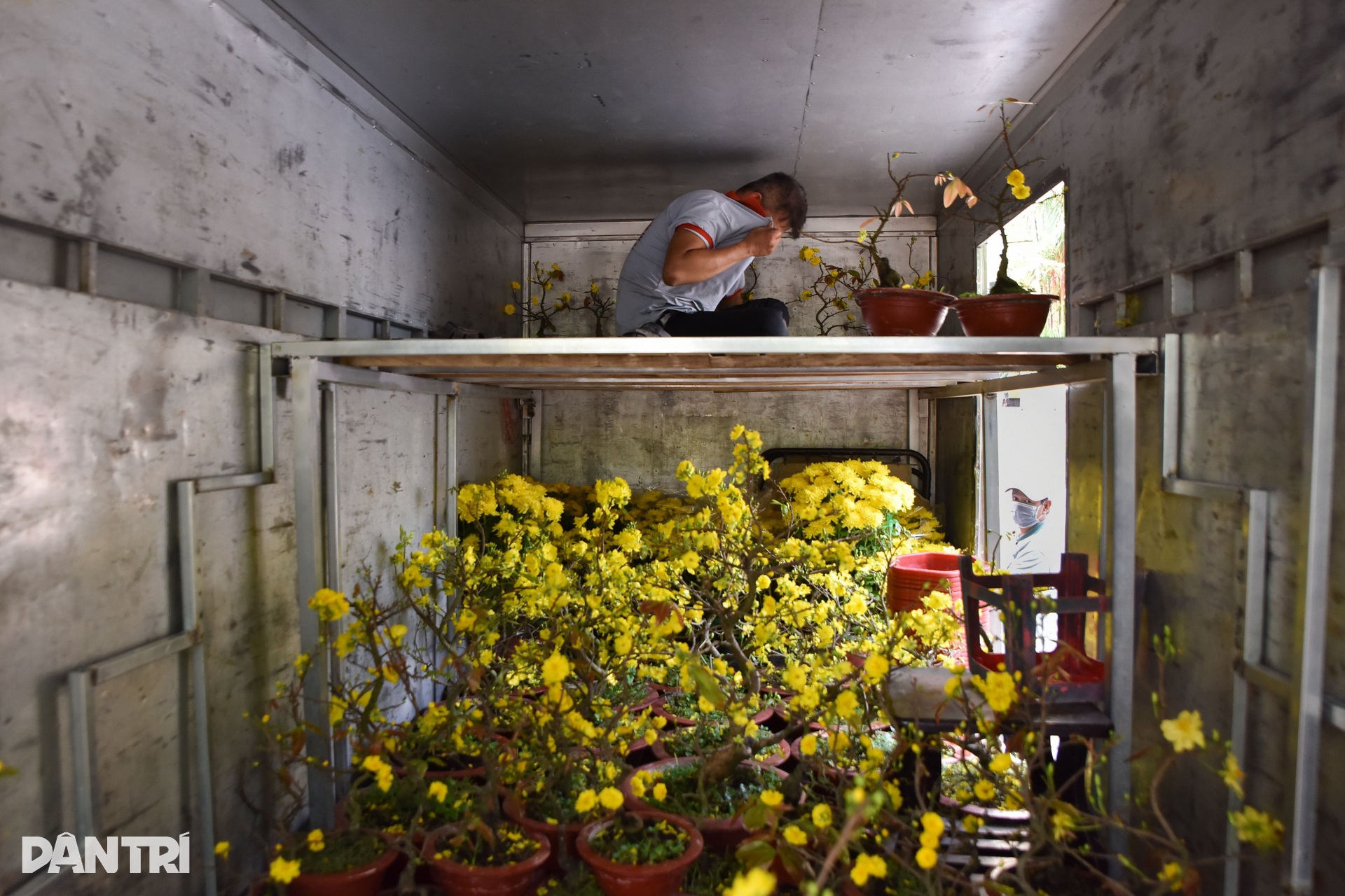 Người dân TPHCM mua cả xe hoa với giá 200.000 đồng trong ngày 30 Tết - 1 Người dân TPHCM mua cả xe hoa với giá 200.000 đồng trong ngày 30 Tết - 1