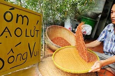 Thăm xóm gạo lứt trị ung thư