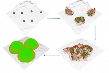 Vi khuẩn có xu hướng hình thành các loại màng sinh học