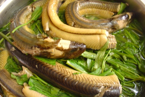 Ăn lươn “ngậm” thuốc tránh thai: Đối mặt với nguy cơ rối loạn nội tiết!