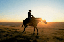 Google công bố AI tạo video, cạnh tranh với OpenAI và Microsoft