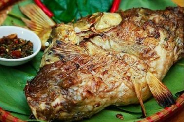 Đặc sản “hạt vàng đen” trên núi Na Hang