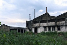 Hàng trăm hộ dân kêu cứu vì nhà máy gây ô nhiễm