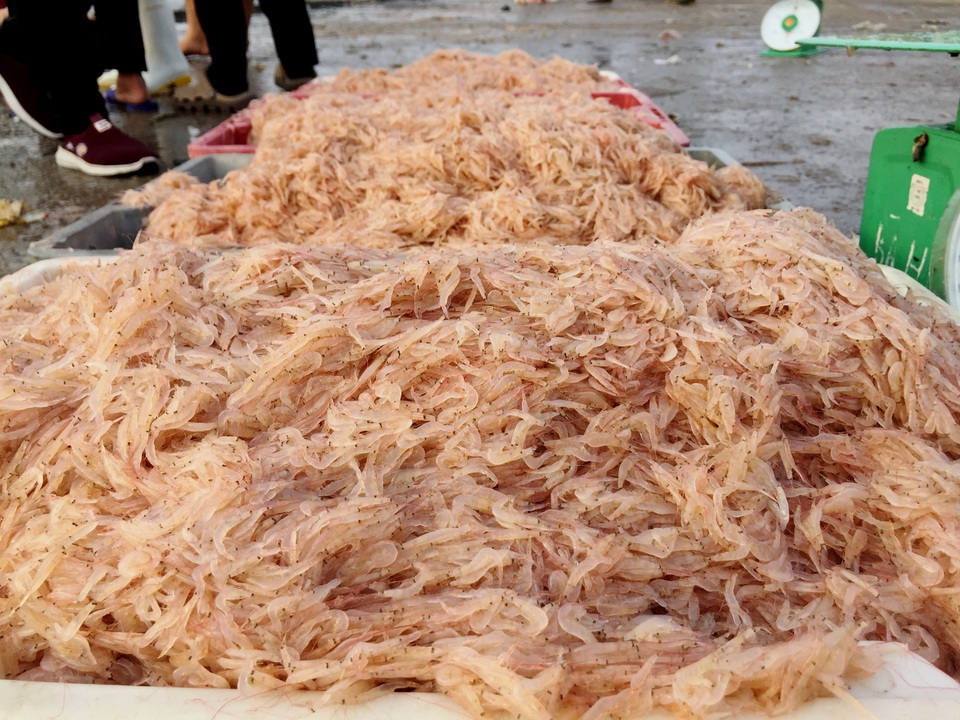 Ngư dân phấn khởi đón lộc đầu năm - 3 Ngư dân phấn khởi đón lộc đầu năm - 3