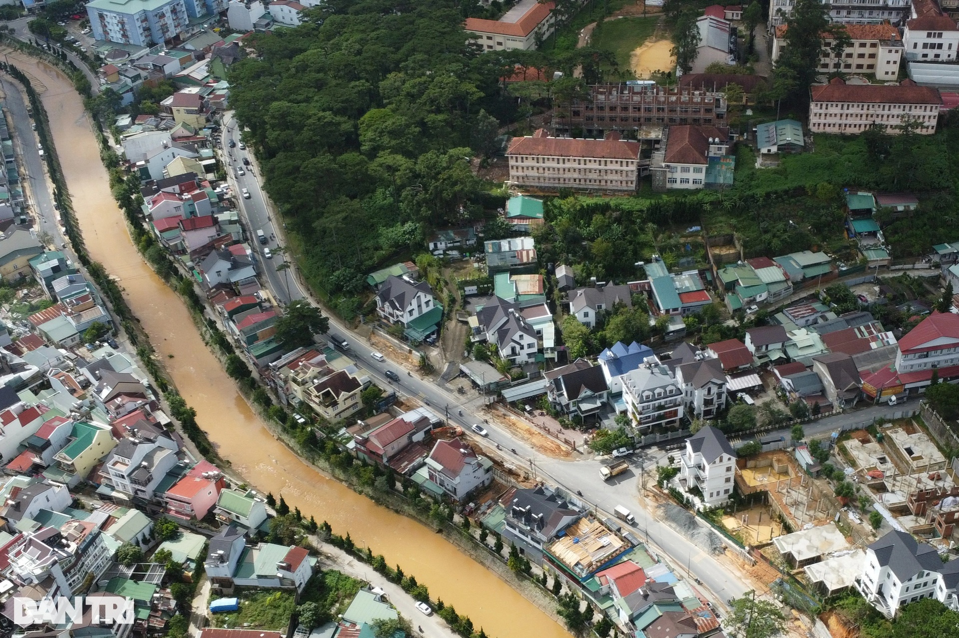 Tuyến đường Đà Lạt đề xuất chặt 108 cây thông ba lá - 1 Tuyến đường Đà Lạt đề xuất chặt 108 cây thông ba lá - 1