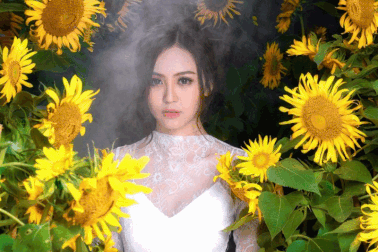 Hoa khôi Nam Bộ gợi cảm với đầm xuyên thấu bên hoa hướng dương