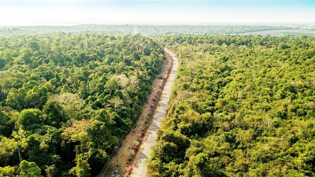 Đầu tư tuyến đường kết nối Đồng Nai và Bình Phước - 1 Đầu tư tuyến đường kết nối Đồng Nai và Bình Phước - 1