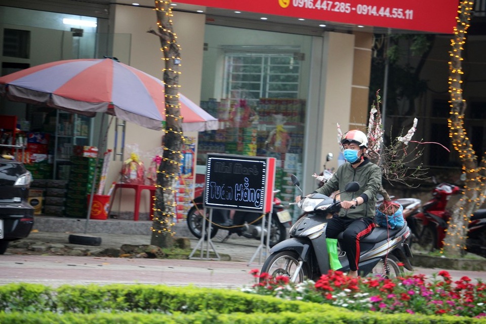 Người dân hối hả mang xuân về nhà - 9