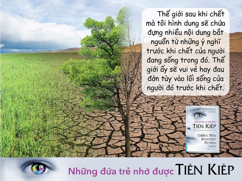 Nghiên cứu dày công từ Những đứa trẻ nhớ được tiền kiếp - 2 Nghiên cứu dày công từ Những đứa trẻ nhớ được tiền kiếp - 2
