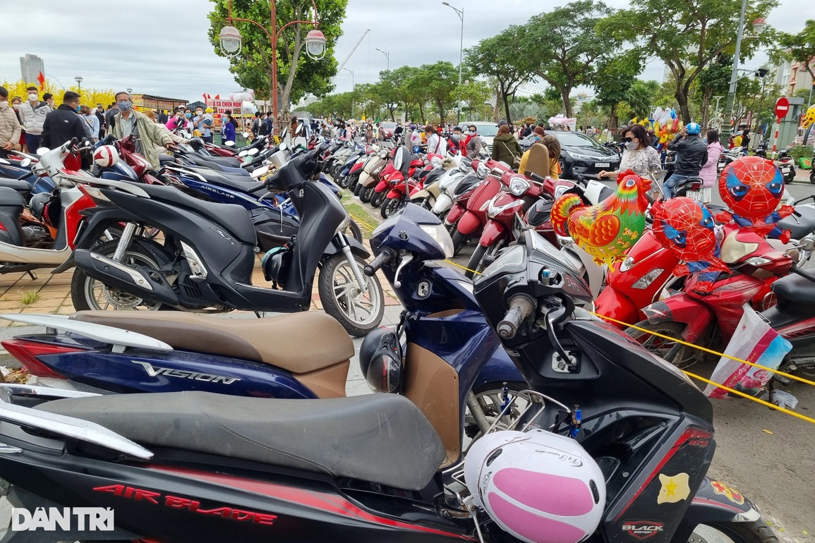 Người dân Đà Nẵng đổ về đường hoa du xuân đầu năm mới - 8 Người dân Đà Nẵng đổ về đường hoa du xuân đầu năm mới - 8