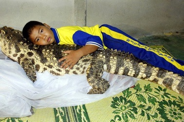 Những thú cưng đặc biệt và kỳ lạ đến khó tin