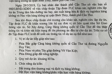FLC đề xuất xây dựng học viện hàng không, trung tâm bảo dưỡng tàu bay tại Cần Thơ