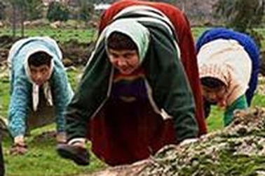 Người đi bốn chân