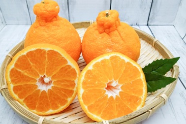 10 loại trái cây đắt nhất thế giới, có quả giá bằng chiếc xe hơi hạng sang