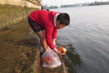 Cá chép tấp nập đưa ông Táo về trời