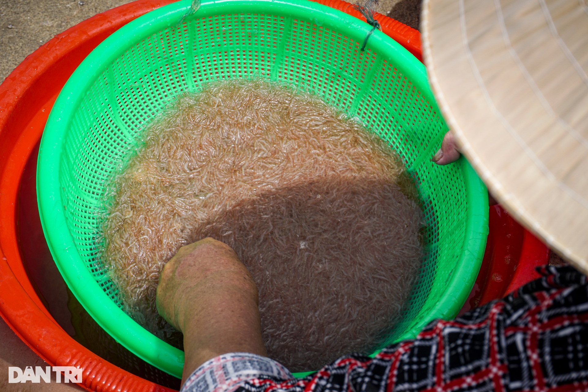 Ngư dân xoay vòng trên biển, rẽ sóng, hóng con bé tí teo - 7 Ngư dân xoay vòng trên biển, rẽ sóng, hóng con bé tí teo - 7
