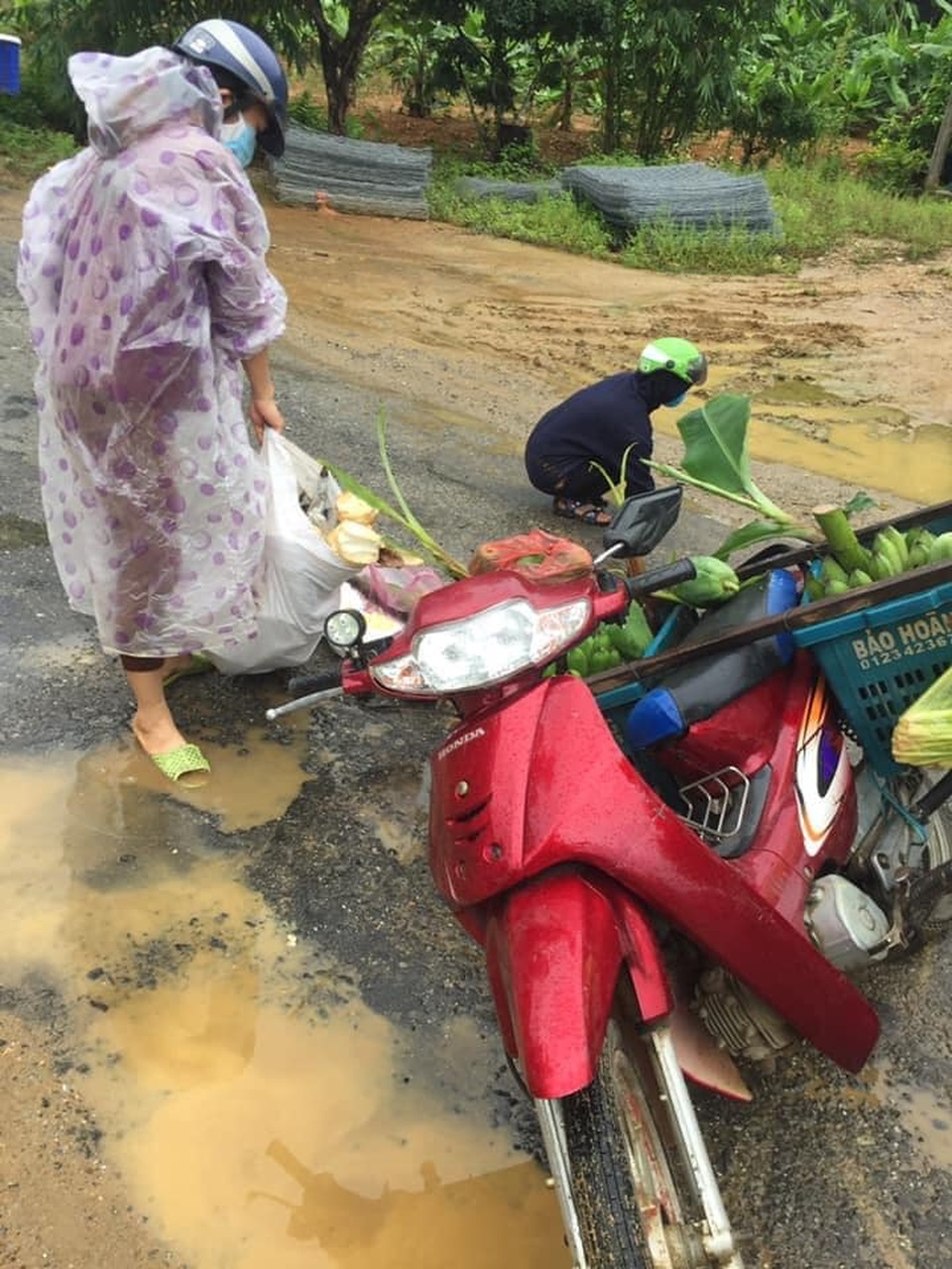 Măng rừng, chuối, chanh… gửi đến tâm dịch - 11 Măng rừng, chuối, chanh… gửi đến tâm dịch - 11