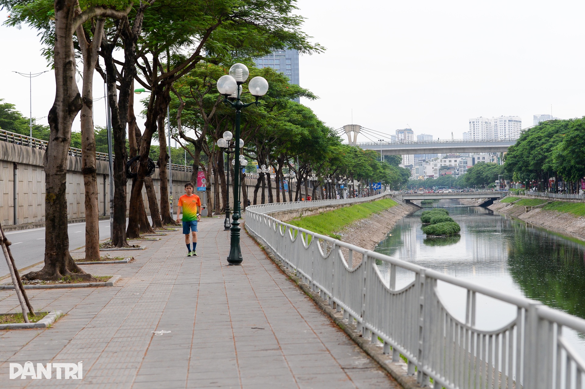 Cảnh tượng đặc biệt sau mấy chục năm mới xuất hiện trên sông Tô Lịch - 10 Cảnh tượng đặc biệt sau mấy chục năm mới xuất hiện trên sông Tô Lịch - 10