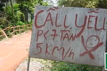 Trắng trợn đánh cắp tài nguyên quốc gia giữa ban ngày: La liệt sai phạm!