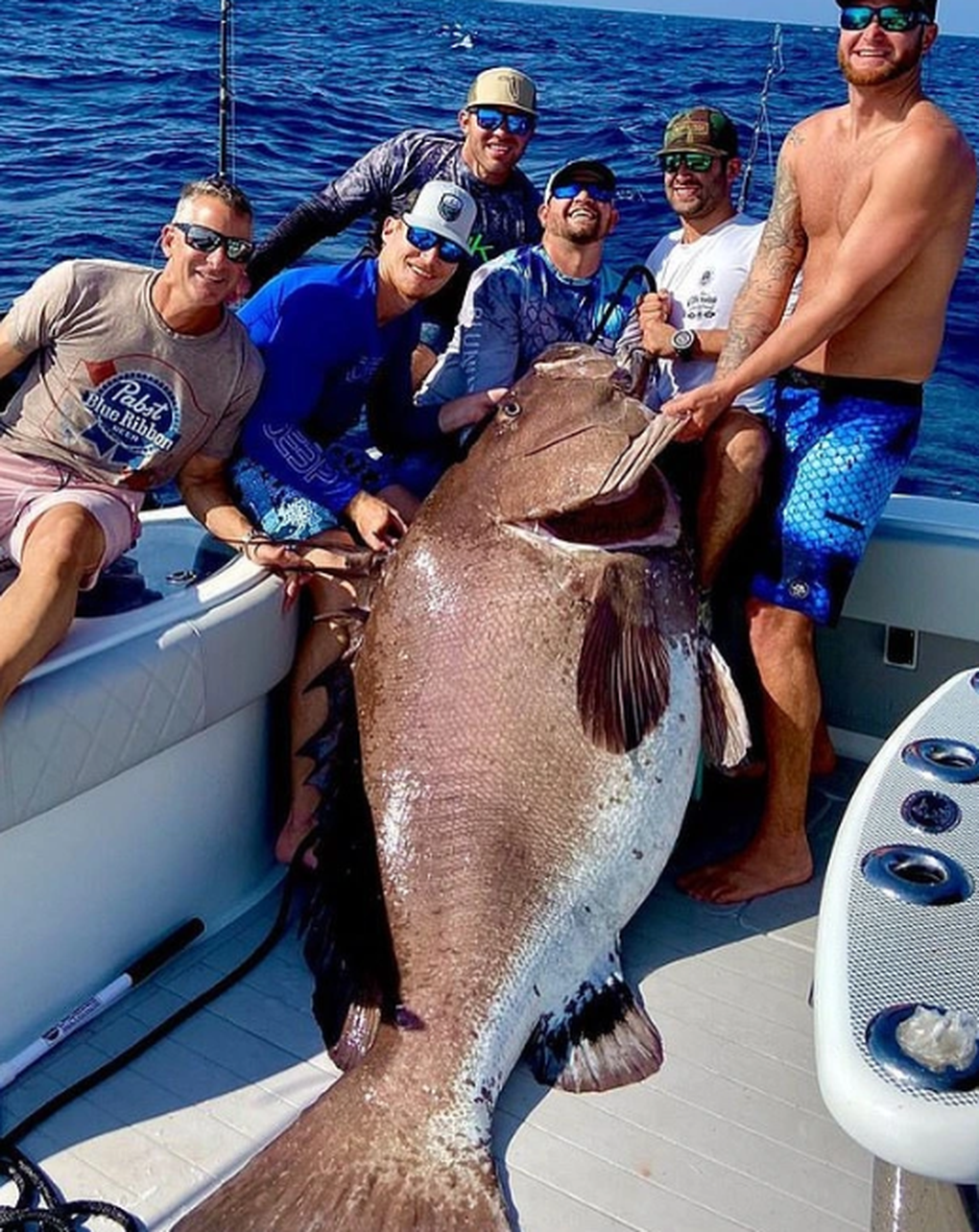 Bắt được cá nặng 35kg ở Quảng Ninh, khách chi 30 triệu mua tại chỗ - 3