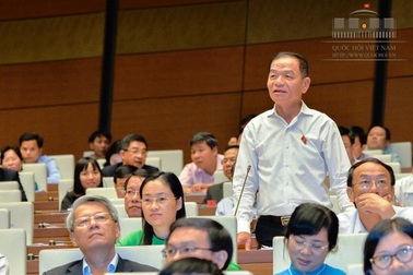 Đại biểu Quốc hội đề nghị Toà tối cao xem xét khiếu nại vụ “hoa hậu quý bà”