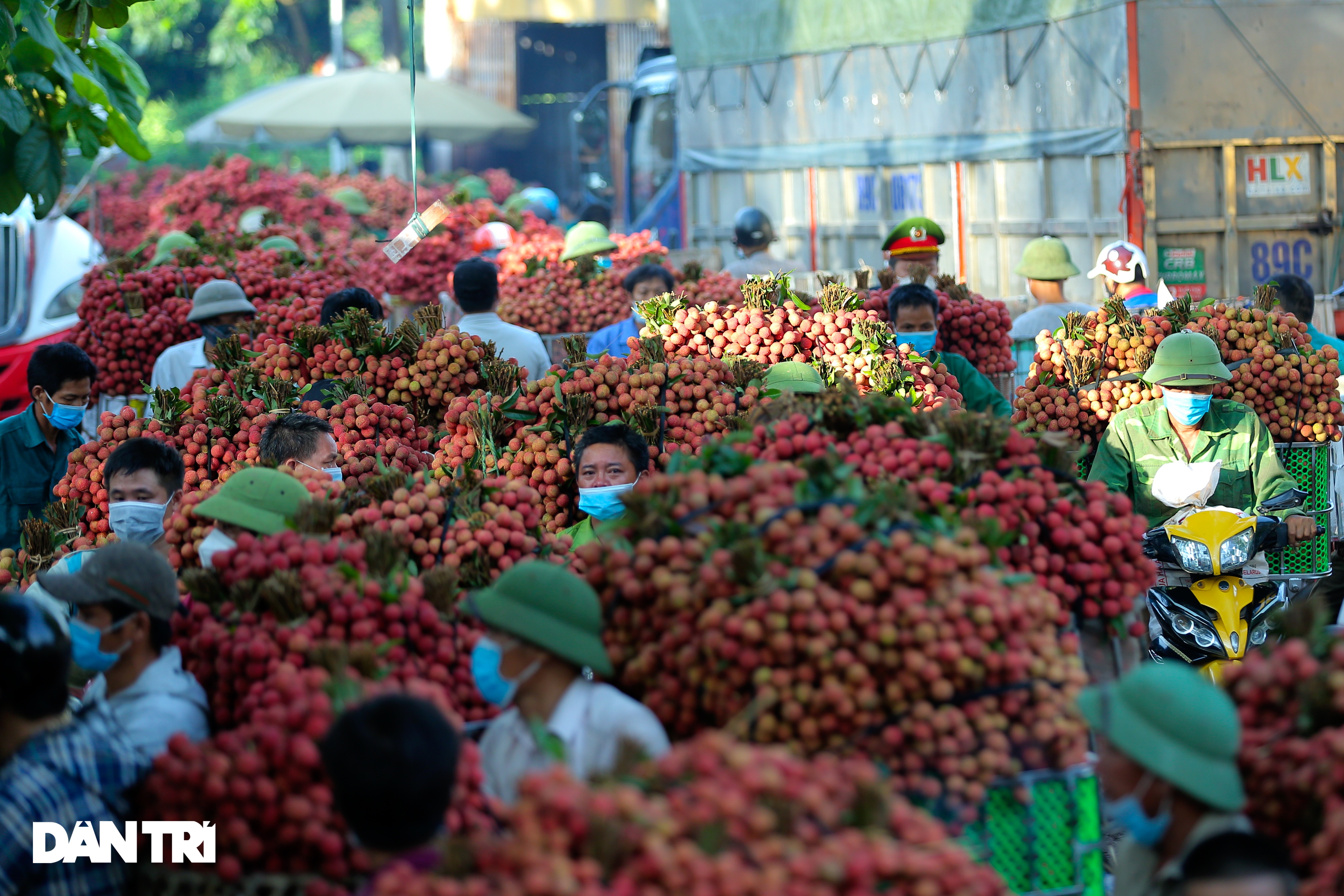 Bắc Giang: Xe chở vải thiều nối đuôi nhau dài hàng cây số ra các trạm cân - 5 Bắc Giang: Xe chở vải thiều nối đuôi nhau dài hàng cây số ra các trạm cân - 5