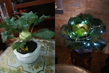 Cười bò với siêu phẩm hoa, cây cảnh Tết "có một không hai" thời Covid-19