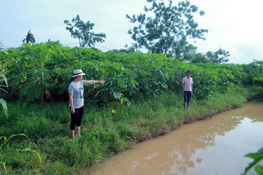 Hà Nội: Điều tra vụ cháu bé 10 tuổi tử vong ở rãnh nước
