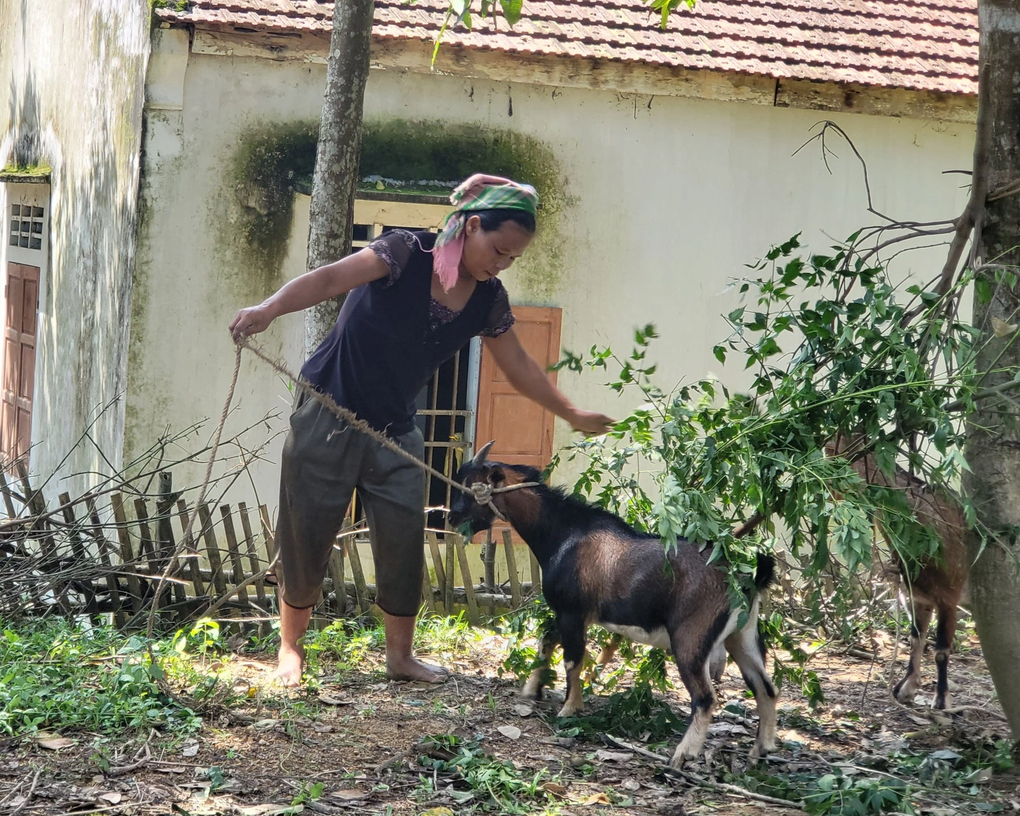 Ưu tiên hỗ trợ phát triển sản xuất cho hộ nghèo do phụ nữ làm chủ - 1 Ưu tiên hỗ trợ phát triển sản xuất cho hộ nghèo do phụ nữ làm chủ - 1