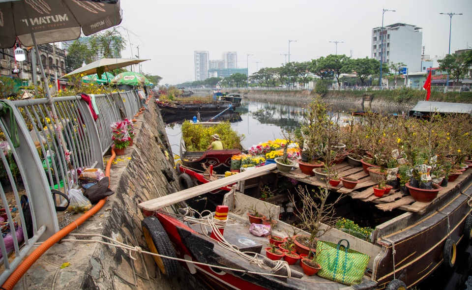 Nhiều ngày phơi mặt không bán nổi hoa, tiểu thương khóc thét lo mất Tết - 10 Nhiều ngày phơi mặt không bán nổi hoa, tiểu thương khóc thét lo mất Tết - 10