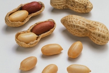 Những lợi ích bất ngờ từ "quả trường sinh"