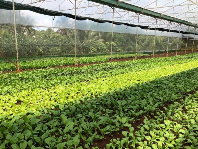 Hiện nay, NHCSXH chi nhánh tỉnh Bình Dương đang thực hiện 11 chương trình tín dụng về cho vay hộ nghèo và các đối tượng chính sách khác, tập trung chủ yếu là chương trình hộ cận nghèo, hộ mới thoát nghèo, học sinh, sinh viên, chương trình nước sạch và vệ sinh môi trường nông thôn, chương trình giải quyết việc làm.